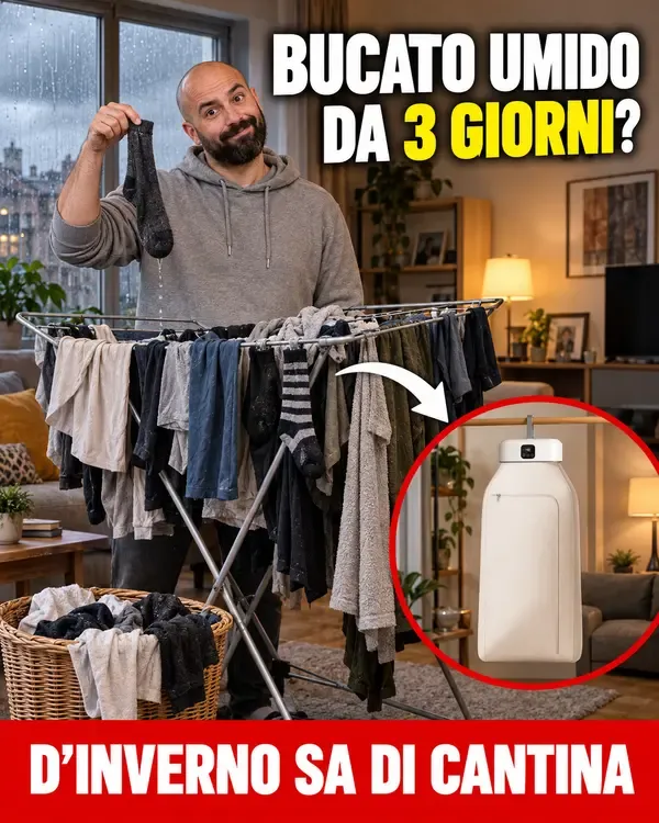 Stendino pieno in mezzo a un piccolo soggiorno, il bucato ancora umido dopo giorni