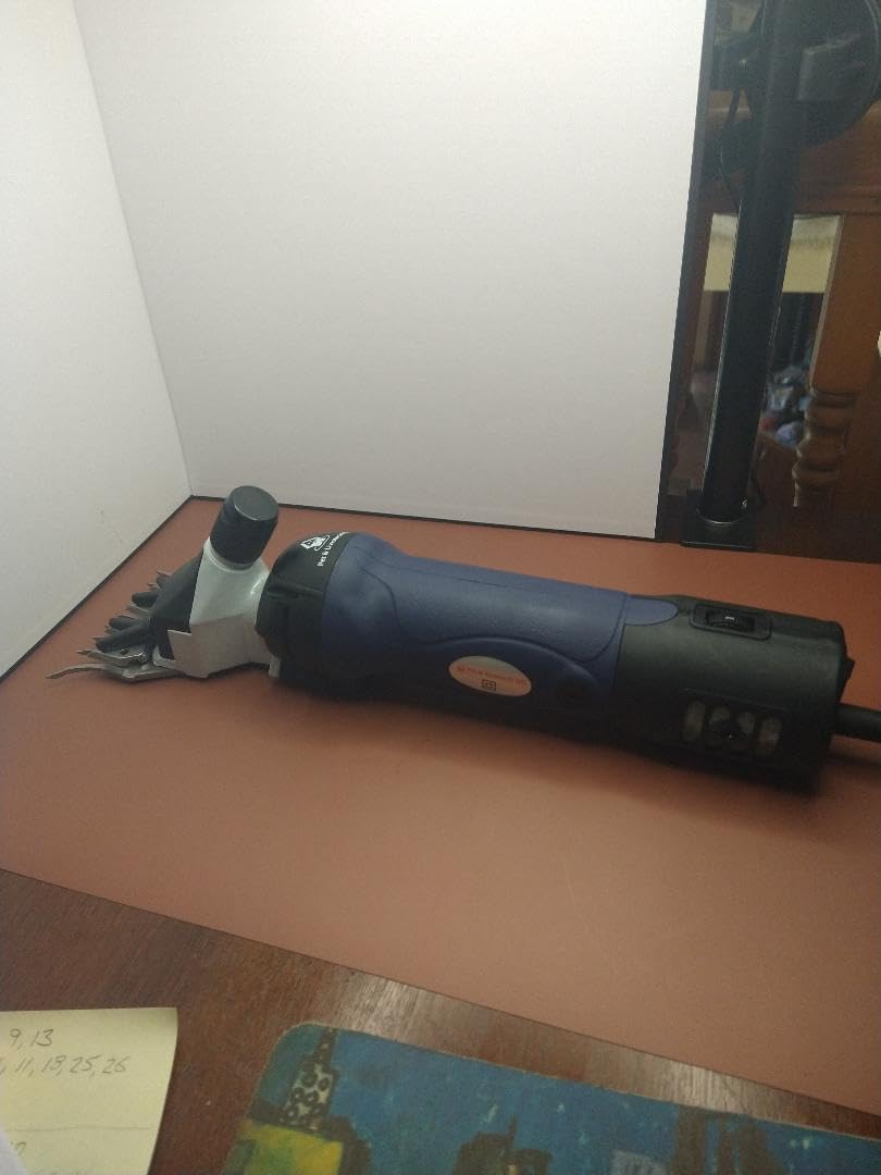 Tosapecore professionale sul banco