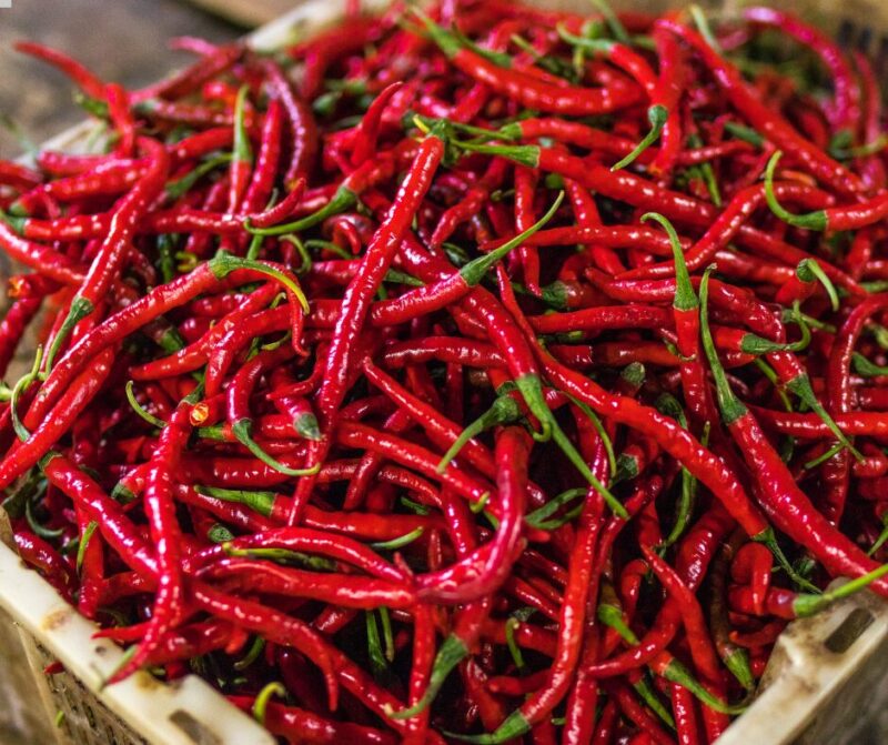 peperoncino Come migliorare la circolazione durante i mesi freddi