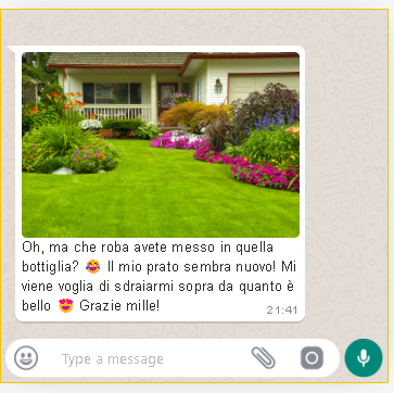 Screenshot-2025-01-25-172820 Rivitalizzante Prato