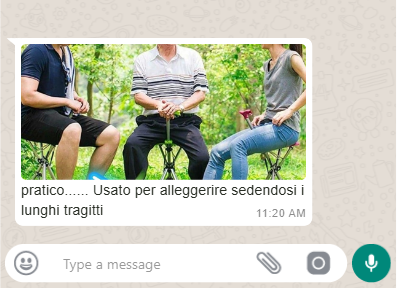 zeoob.com_u9asxmqy0q_photo Bastone Seggiola all in one